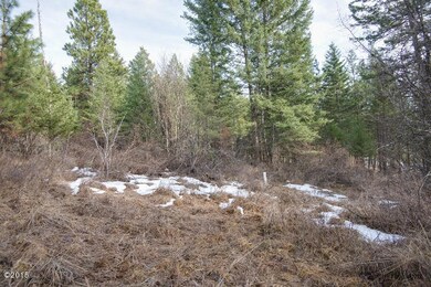 126 Pierce Ln, Big Fork, MT 59911 - photo 3