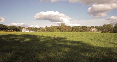 2051 Walnut Way (#10), Chelsea, MI 48118 - photo 3