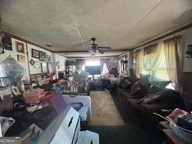 331 S Green St, Swainsboro, GA 30401 - photo 4