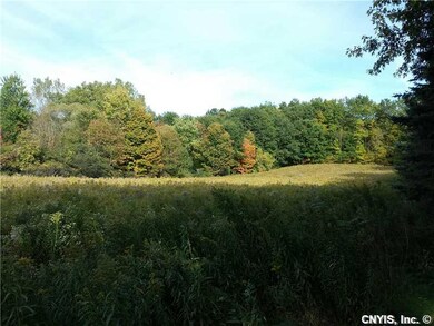 Land/Lot. Additional Land View. Think of the possi