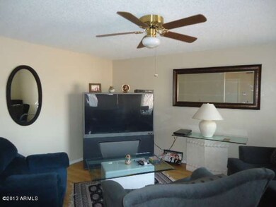 Large Living Room!
