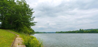 0 Water Front Place unit 1517821, Jasper, TN 37347 - photo 3