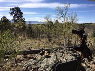 82 Rawhide Ct, Como, CO 80432 - photo 5