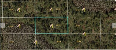 0 Dill Rd unit MFRO6234209, Orlando, FL 32820 - photo 2