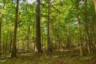 0 Doc Bass Rd, Timberlake, NC 27583 - photo 2