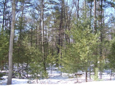 11 Milky Way, Hawley, PA 18428 - photo 4