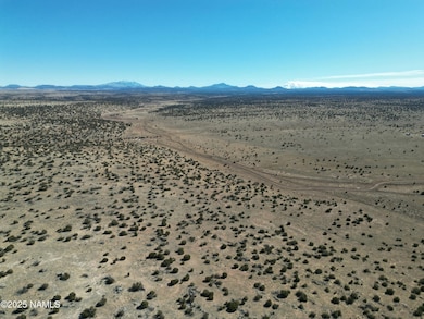 10184 W Trapper Way, Grand Canyon Junction, AZ 86046 - photo 2