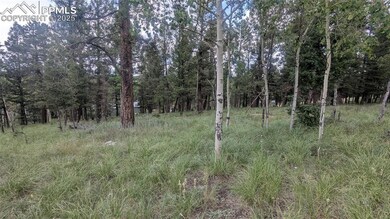 924 Will Scarlet Dr, Divide, CO 80814 - photo 4