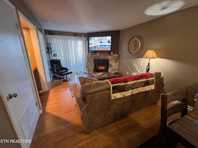 1102 Ski View Dr unit 206, Gatlinburg, TN 37738 - photo 4