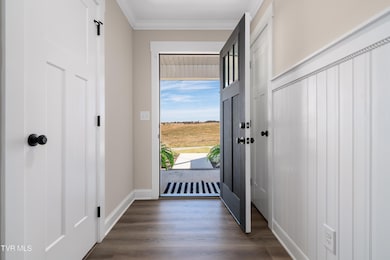 1325 Bowmantown Rd, Limestone, TN 37681 - photo 6