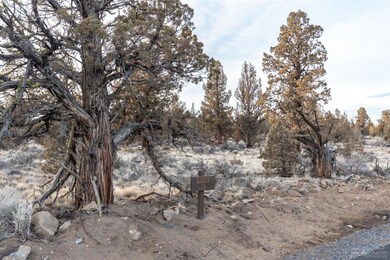 0 SW 89th St unit 201900264, Redmond, OR 97756 - photo 2