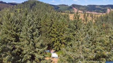 27801 Thomson Mill Rd, Sheridan, OR 97378 - photo 5