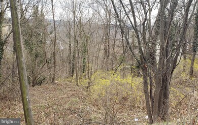 0 Cacapon Rd unit WVMO118222, Berkeley Springs, WV 25411 - photo 3