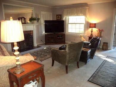 GORGEOUS FIREPLACE ACCENT THE LIVING ROOM