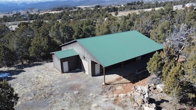 19102 Surface Creek Rd, Cedaredge, CO 81413 - photo 6