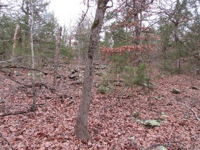 0 S Buffalo Rd unit 2300542, Stuart, OK 74570 - photo 3