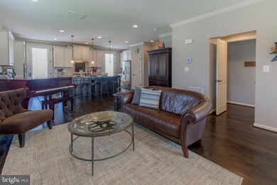 13210 Tivoli Lake Blvd, Silver Spring, MD 20906 - photo 7