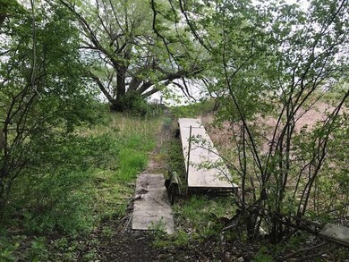 6541 Mina Shores SW, Alexandria, MN 56308 - photo 4