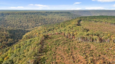 Roberts Road, Spencer, TN 38585