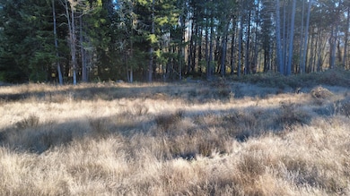 188 Pisqually Ln, Azalea, OR 97410 - photo 3