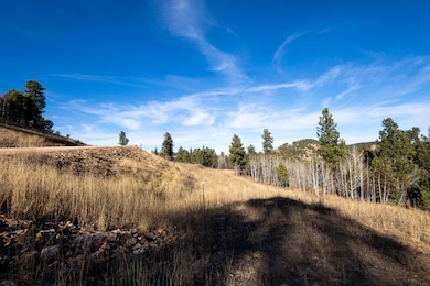 Lot 44 Golden Hills, Sturgis, SD 57785 - photo 2