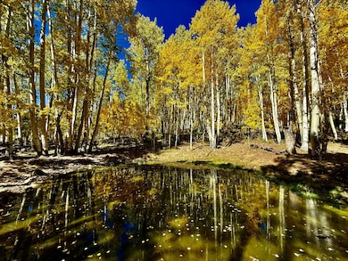 49404 Fs 567, Mancos, CO 81328 - photo 2