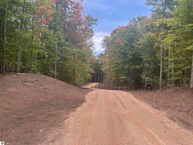 11605 S Tower Rd unit 5, Kasson Township, MI 49664 - photo 5