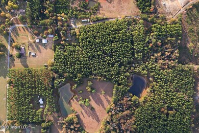 unlisted-address, Mendenhall, MS 39114 - photo 3