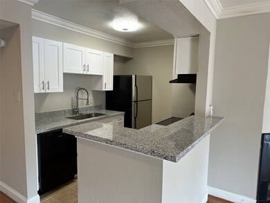 10100 S Gessner Rd unit 406, Houston, TX 77071 - photo 2