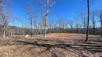 343 Marion County 7002, Flippin, AR 72634 - photo 3