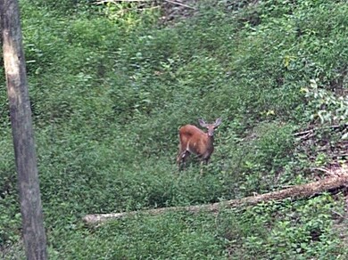 82 Baker Rd, Somerset, KY 42501 - photo 2