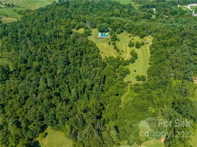 1194 Bear Creek Rd, Leicester, NC 28748 - photo 6