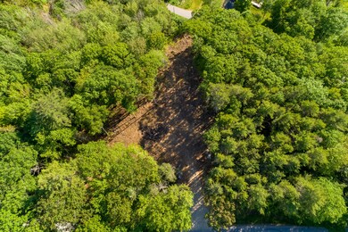 (9)_Lower Round Pond Rd. Land - Bristol,