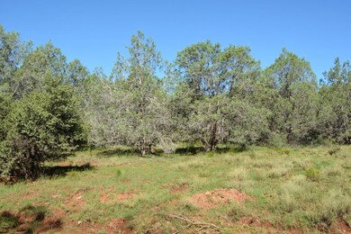 Meadow
