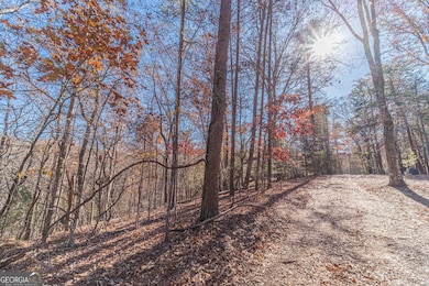 0 Arborwood Dr unit 10645890, Dahlonega, GA 30533 - photo 6