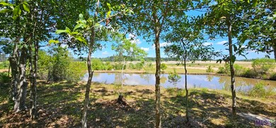 3270 Nesom Rd, Denham Springs, LA 70706 - photo 6
