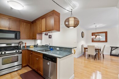 2-14 Saint Paul St unit 101, Brookline, MA 02446 - photo 5