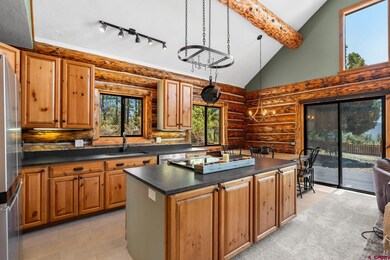 325 Sawmill Rd, Durango, CO 81303 - photo 6