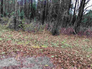 0 Curry Dr, Macon, GA 31211 - photo 6