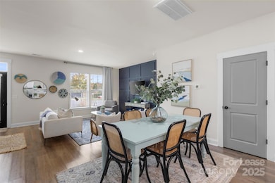 920 Blu Central Rd, Pineville, NC 28134 - photo 5