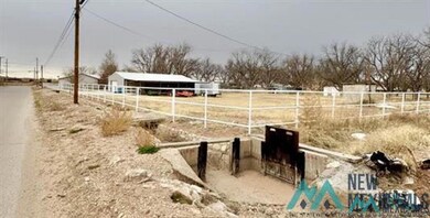 818 E Orchard Ln, Carlsbad, NM 88220 - photo 5