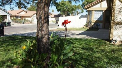 Blooming mature landscape