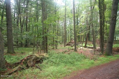 0 Church Rd, Lackawaxen, PA 18435 - photo 4