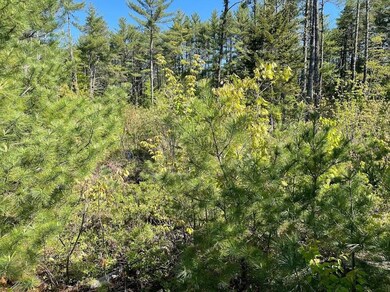 51-3 Depot Rd, Tamworth, NH 03886 - photo 6