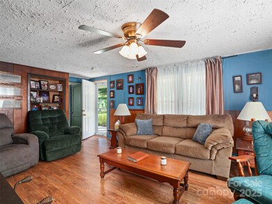 177 Dewey Ave, Canton, NC 28716 - photo 6