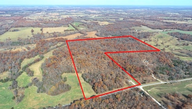 6745 E Hwy Cc, Stockton, MO 65785 - photo 5