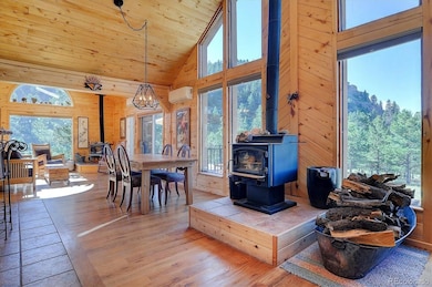 1111 Red Feather Rd, Cotopaxi, CO 81223 - photo 4