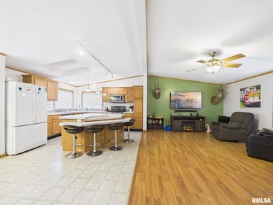 13014 Kirby St, Tallula, IL 62688 - photo 6