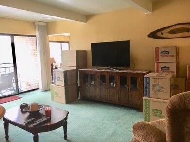 Living room. Spacious and gracious with lots of li