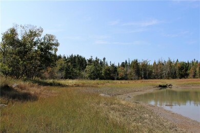 Inside the northern cove just west...